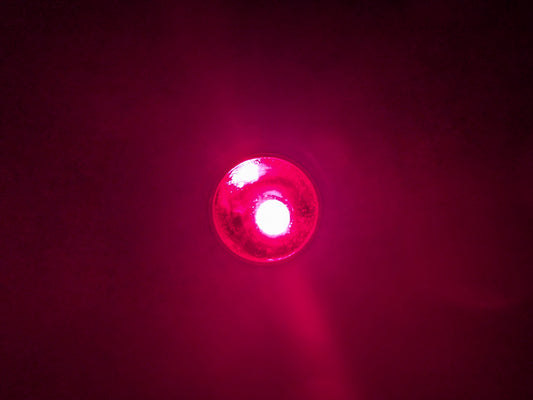 PALight Survival PLUS 9V Battery LED Flashlight - Red LED - Black Body/Silver Trim - 4 Light Levels