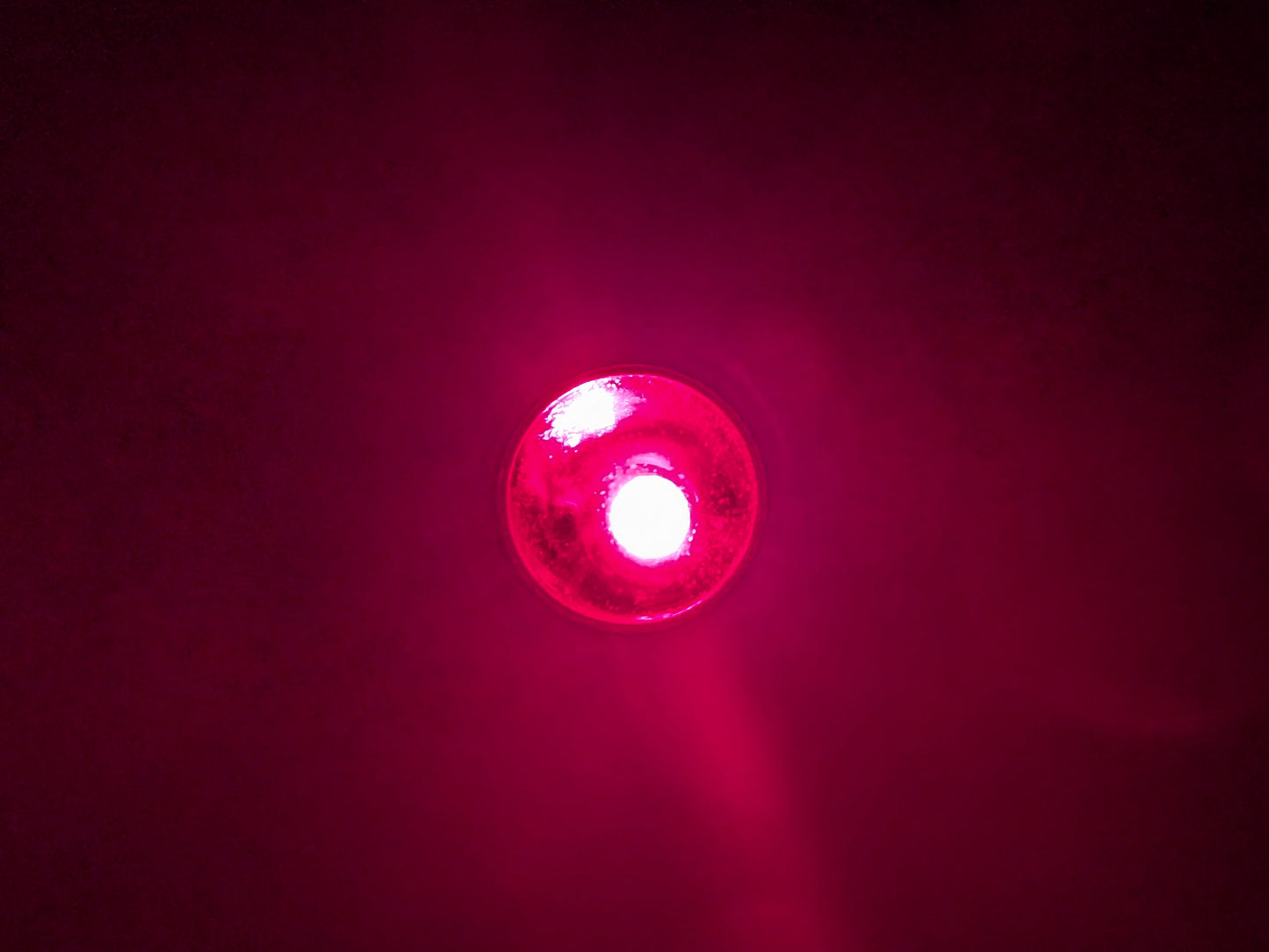 PALight Survival PLUS 9V Battery LED Flashlight - Red LED - Black Body/Silver Trim - 4 Light Levels